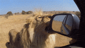 When-you-try-to-fix-something-elses-code